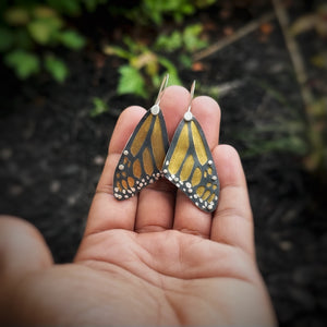 Monarch Wings